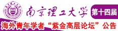 插入啊要在线观看南京理工大学第十四届海外青年学者紫金论坛诚邀海内外英才！